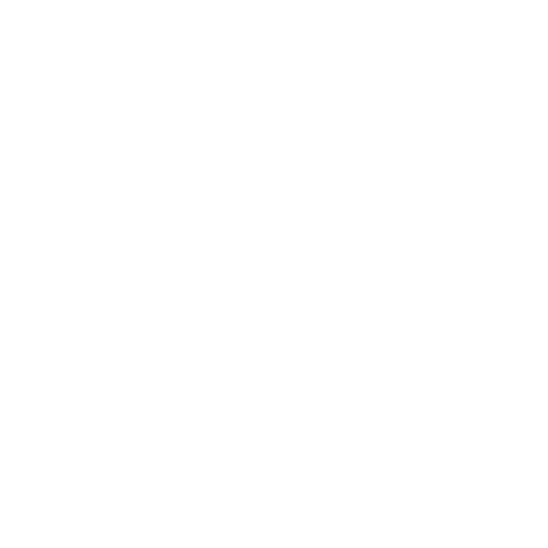 ZenFlow